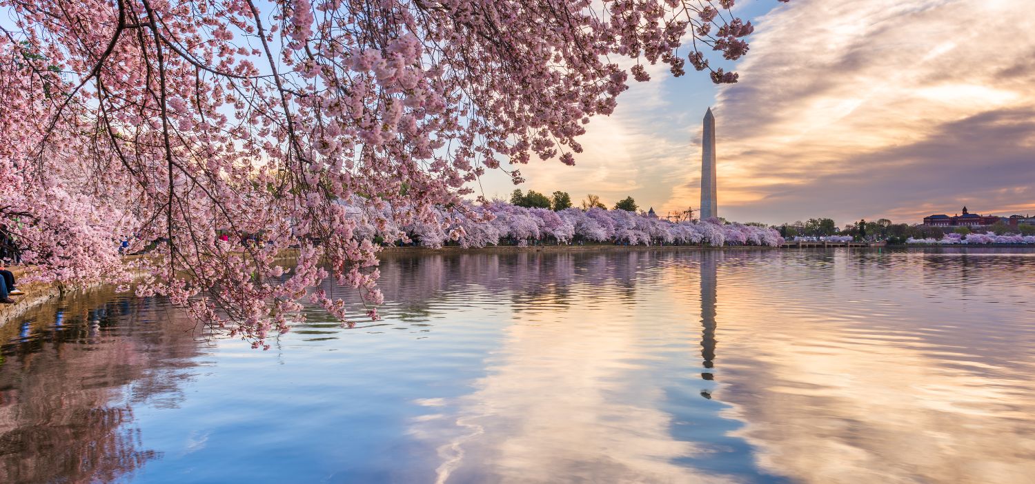 2025 Washington Dc Coming Soon