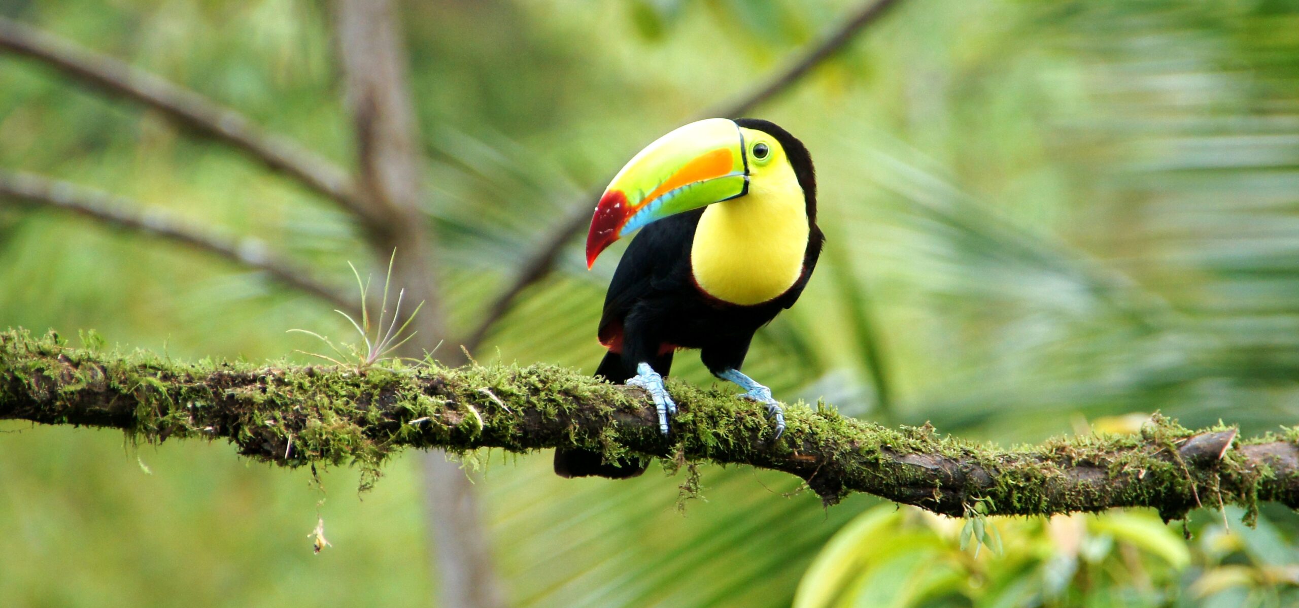 Costa Rica Header (2)